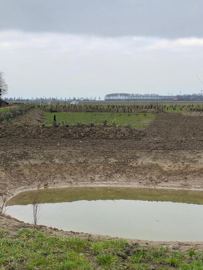 Natuurhuisjes Lust En Last Sommelsdijk Buitenkant foto