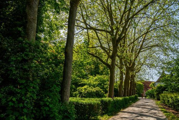 Natuurhuisjes Lust En Last Sommelsdijk Buitenkant foto